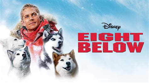 8 below fotos|Eight below hi